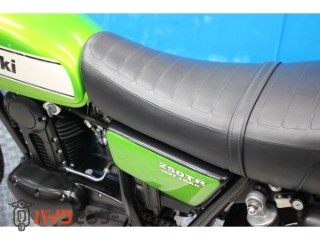 250TR　インジェクション　ＢＪ２５０Ｆモデル　ノーマル[img37]