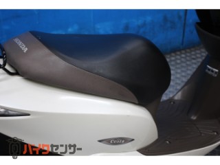 DIOチェスタ　ＡＦ６８モデル　インジェクション　ノーマル[img19]