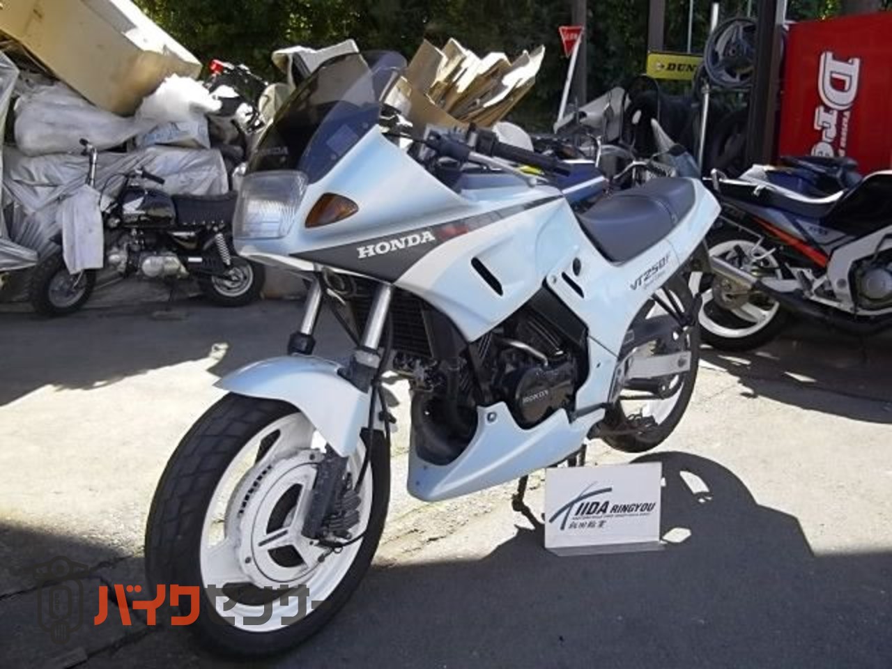 ホンダ VT250F サマーバージョン限定車 B000709| BDSバイクセンサー