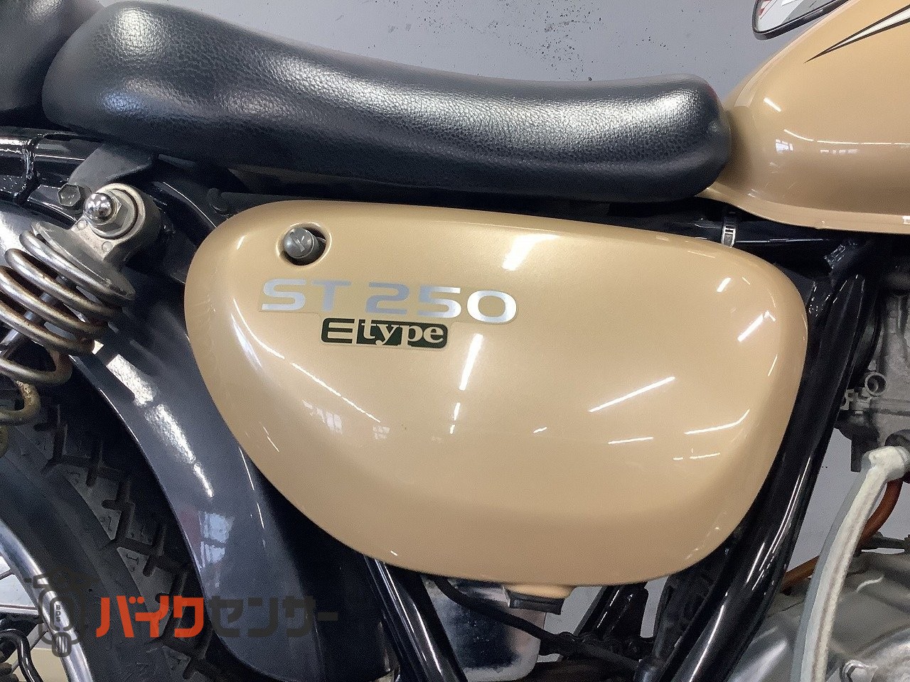 スズキ ST250 Eタイプ 2006年モデル キャブ車 B709590| BDSバイクセンサー