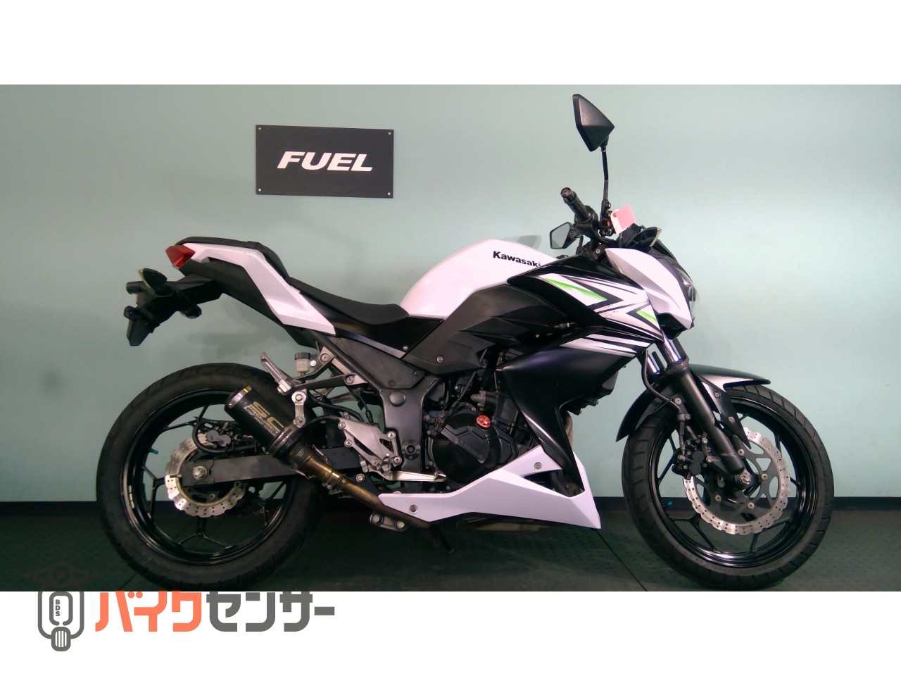 カワサキ Z250 B709603| BDSバイクセンサー