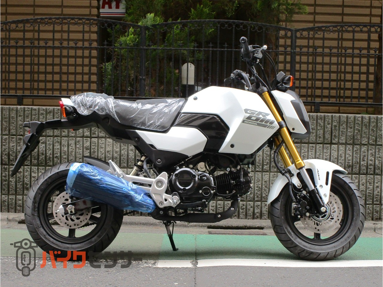 ホンダ グロム パールホライゾンホワイト B712610| BDSバイクセンサー