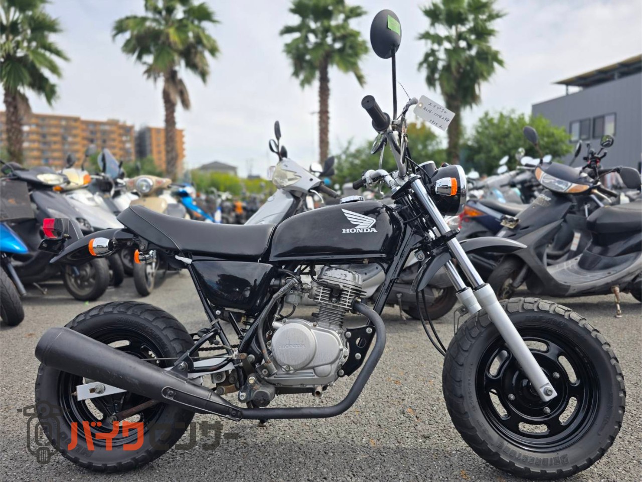 ホンダ エイプ50 AC16型 動画あり B712860| BDSバイクセンサー