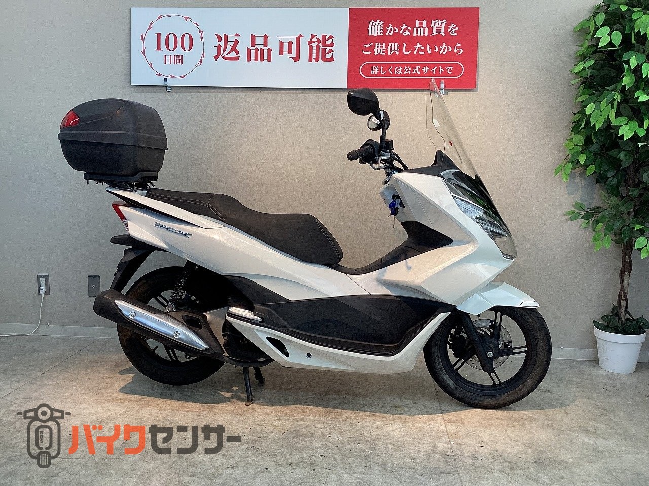 ホンダ PCX 2017年モデル ロングスクリーン・リアボックス装備 B714552