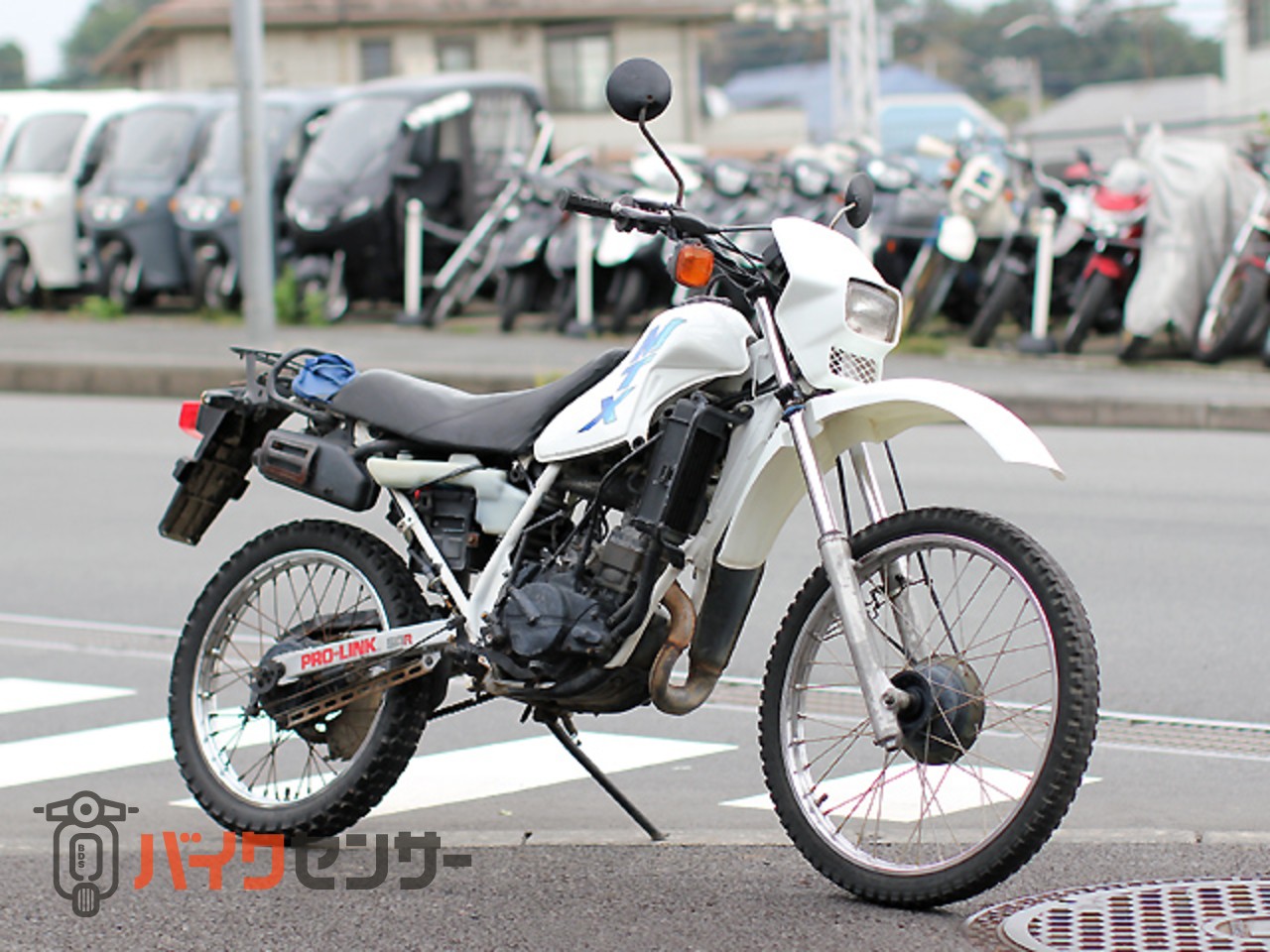 ホンダ MTX50R 水冷エンジン 7.2馬力 B717848| BDSバイクセンサー