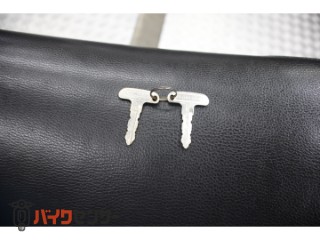 250TR　ＢＪ２５０Ｆモデル　インジェクション　プチカスタム[img6]