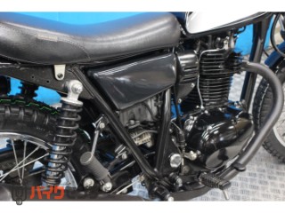 250TR　ＢＪ２５０Ｆモデル　インジェクション　プチカスタム[img22]