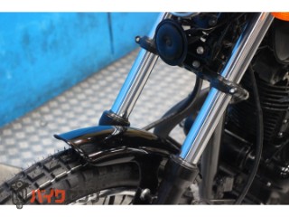250TR　ＢＪ２５０Ｆモデル　インジェクション　プチカスタム[img28]
