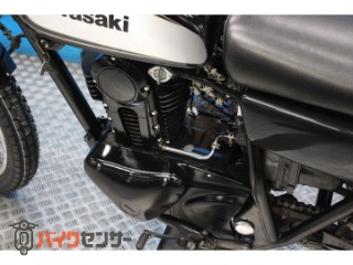 250TR　ＢＪ２５０Ｆモデル　インジェクション　プチカスタム[img37]
