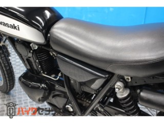 250TR　ＢＪ２５０Ｆモデル　インジェクション　プチカスタム[img38]
