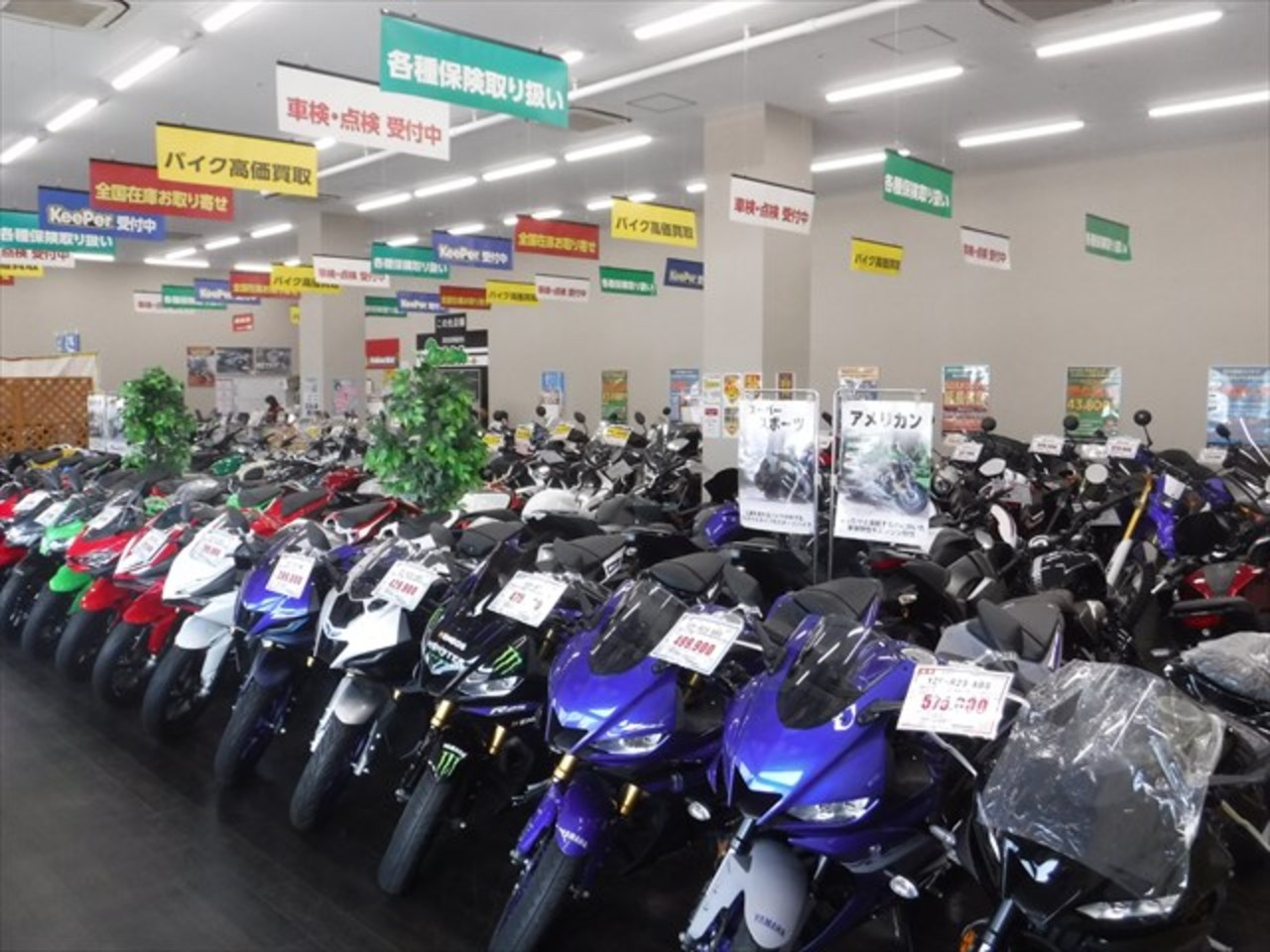 バイク館熊本本山店| BDSバイクセンサー