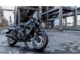 2025年モデル【レブル250】のご案内です！| BDSバイクセンサー