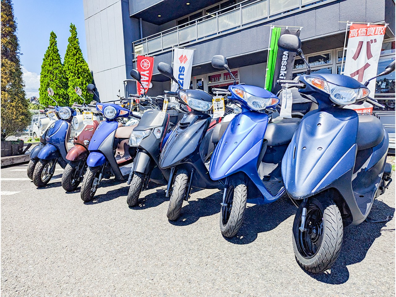 ユーメディア厚木| BDSバイクセンサー