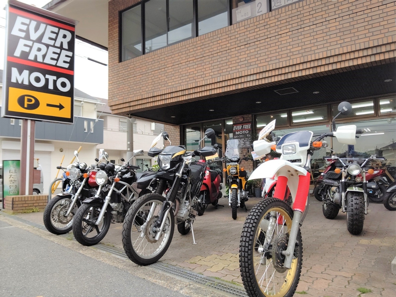 EVER FREE MOTO| BDSバイクセンサー