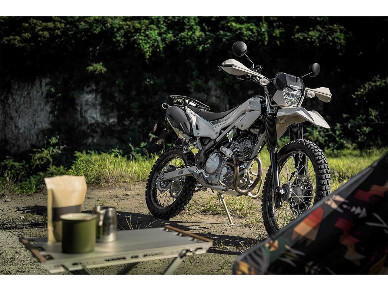 カワサキ新型オーダー受付中！| BDSバイクセンサー