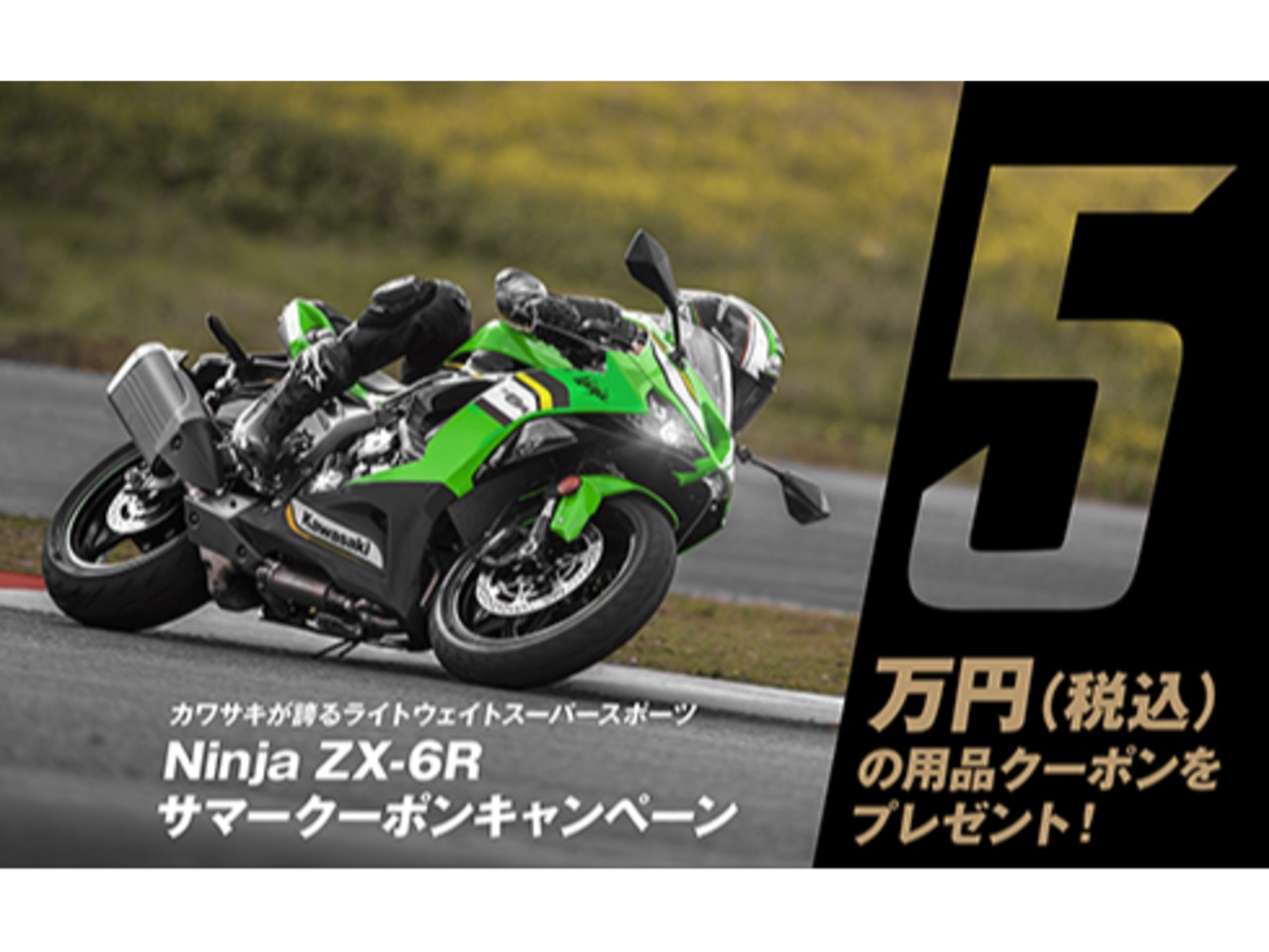 達也 リクエスト Ninja ZX-6R/KRT EDITION 即納可能車両| BDSバイクセンサー