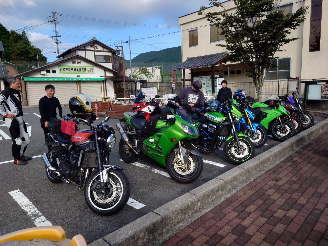 ぽぽ9.6 三重松阪市　伊勢志摩での手渡し希望です ぽぽ9.6 三重松阪市 伊勢志摩での手渡し希望です 番外編 三重