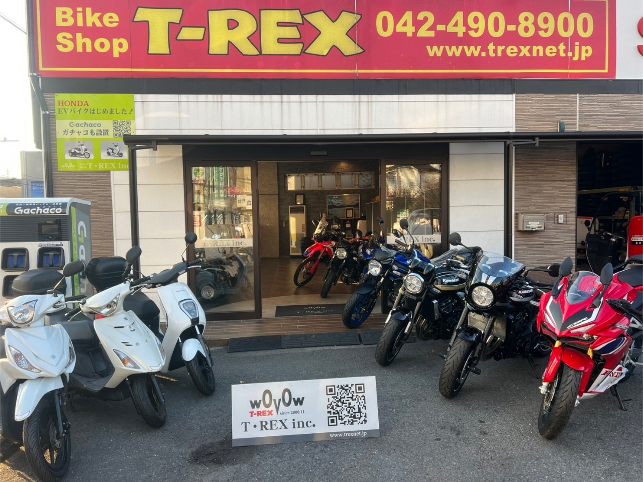 T-REX(ティーレックス) 東京 多摩 調布本店の写真(東京都調布市)