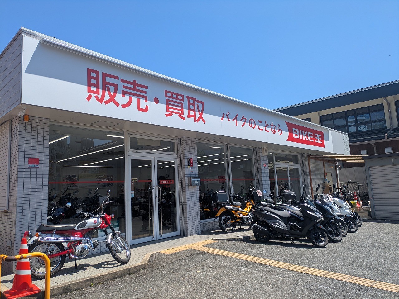 活動歴および当時の関連ビジュアル記録