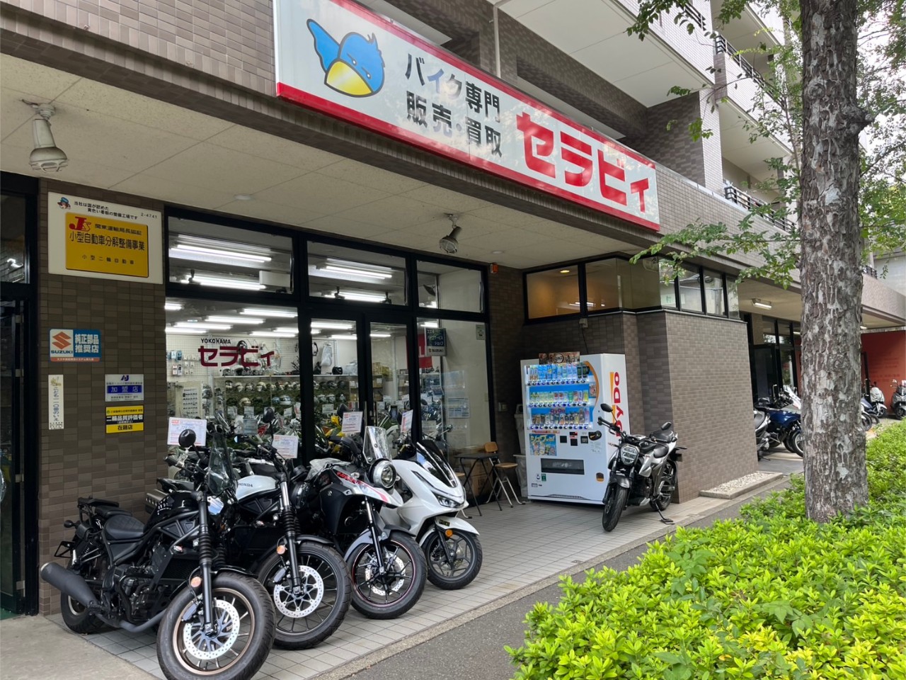 YOKOHAMAセラビィの外観