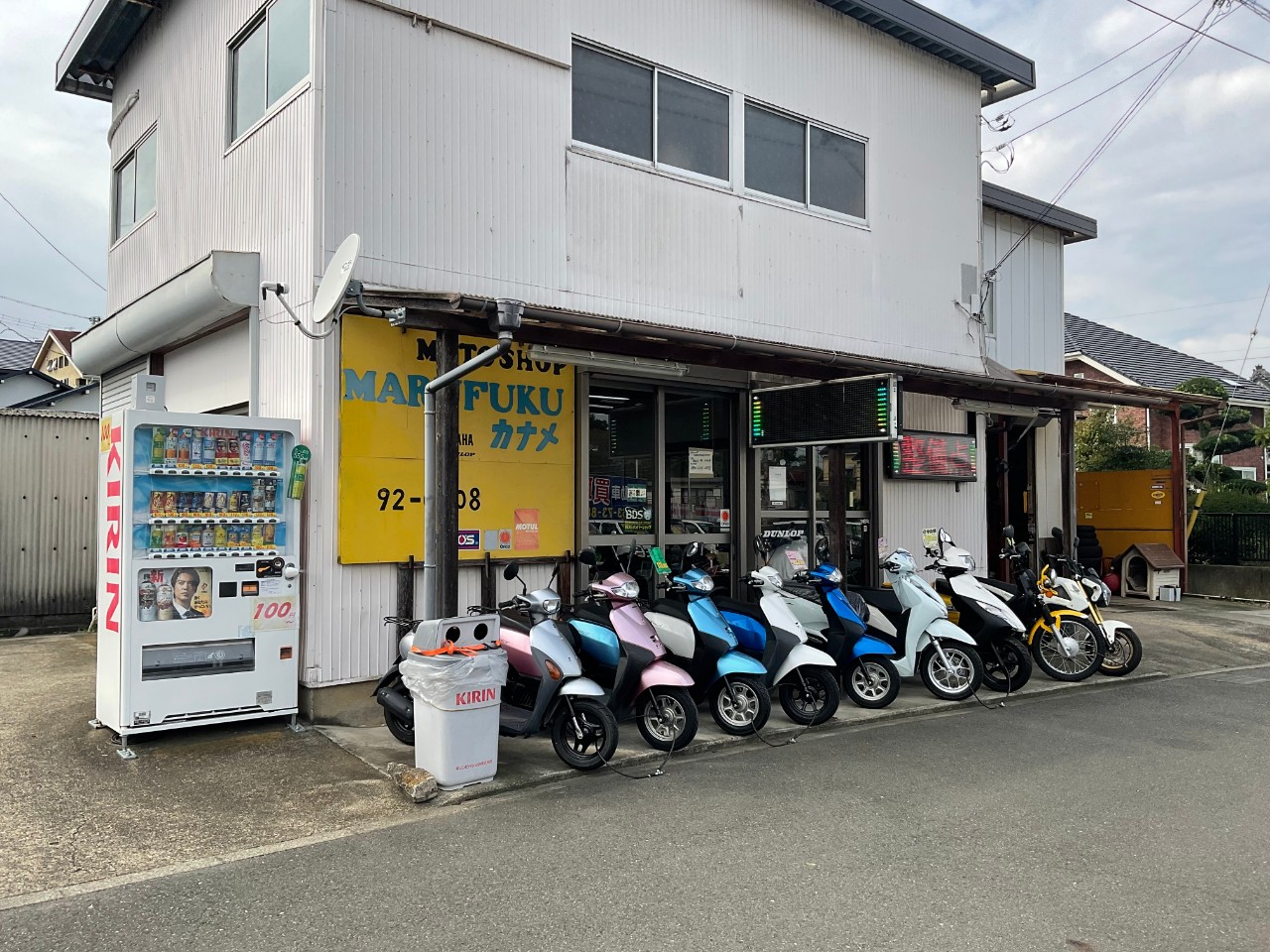 M.S.MARUFUKU カナメの写真(神奈川県伊勢原市)