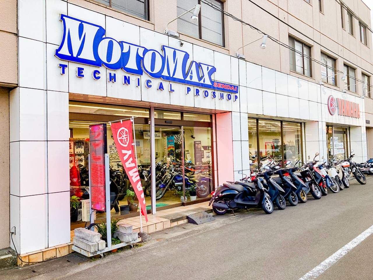 宮城発送　こだわり市場さま専用 和太鼓と招き猫の金運パワーはいかに﻿ #わたしの埼玉﻿ 「埼玉で