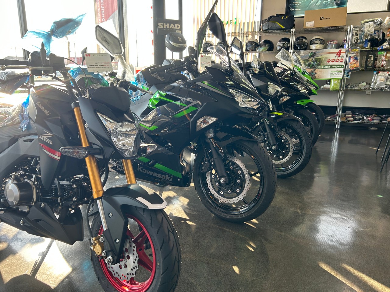 ヤマハ XSR125 RE46J 2024年モデル B271514| BDSバイクセンサー