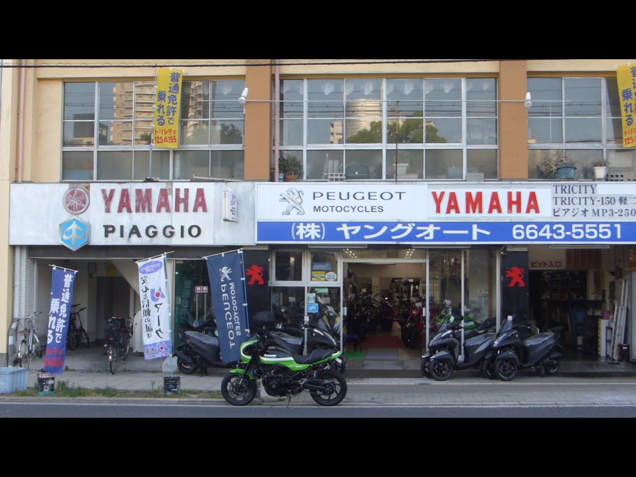 ヤングオート 株)ヤングオート | BDSバイクセンサー