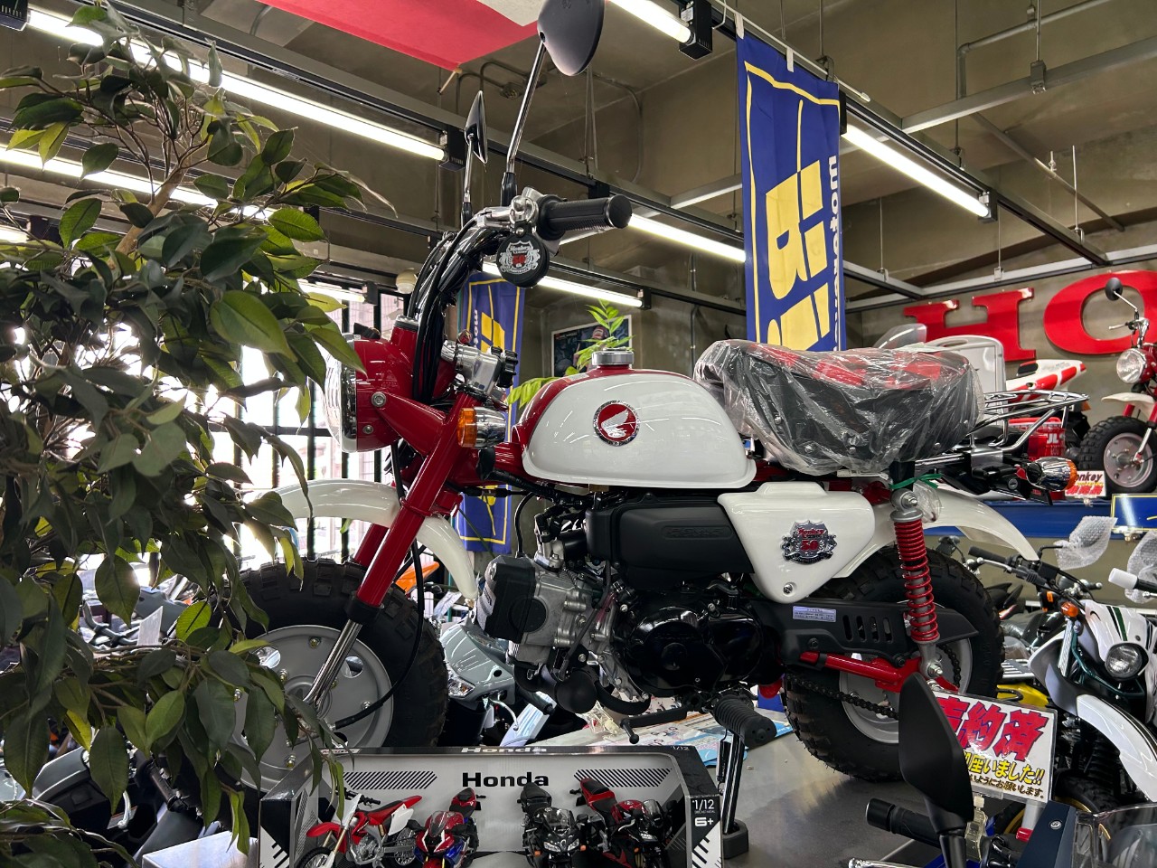 ホンダ 超希少！DIO ZX 最終モデル！2スト！新車 B069542| BDSバイク