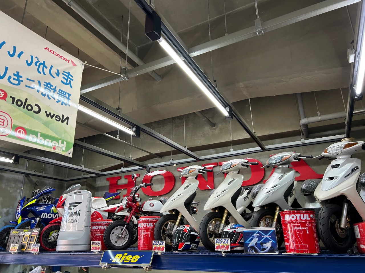 motorcycle pro-shop Rise ＝ライズ＝| BDSバイクセンサー