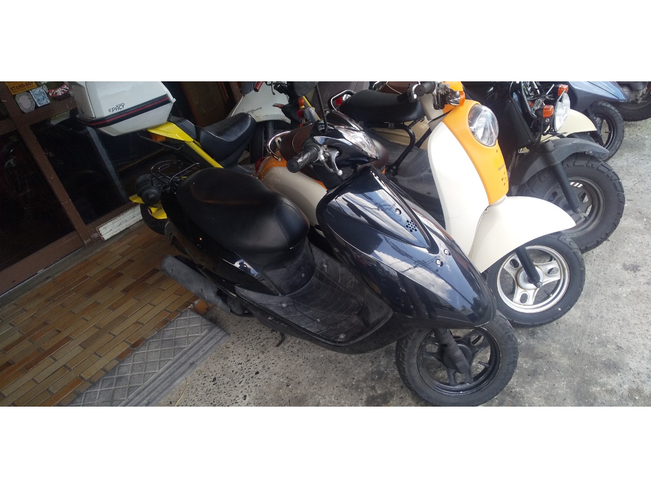 Dio近日発売予定| BDSバイクセンサー