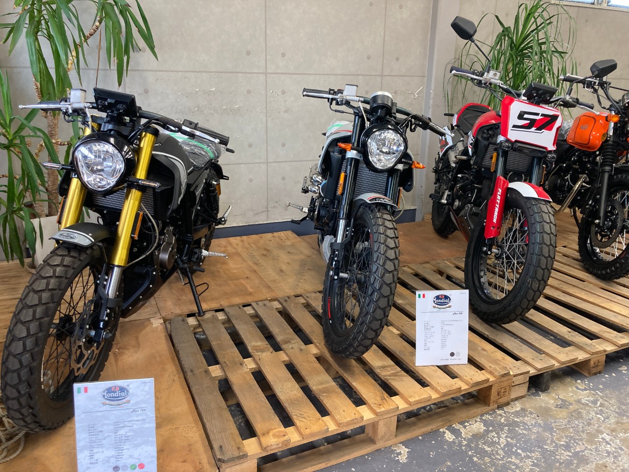 その他外車 AJS '71デザートスクランブラー125